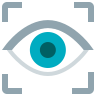 Vision